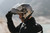 Shoei Neotec 3 Helmet on Rider Shoei Neotec 3 Helmet on Rider