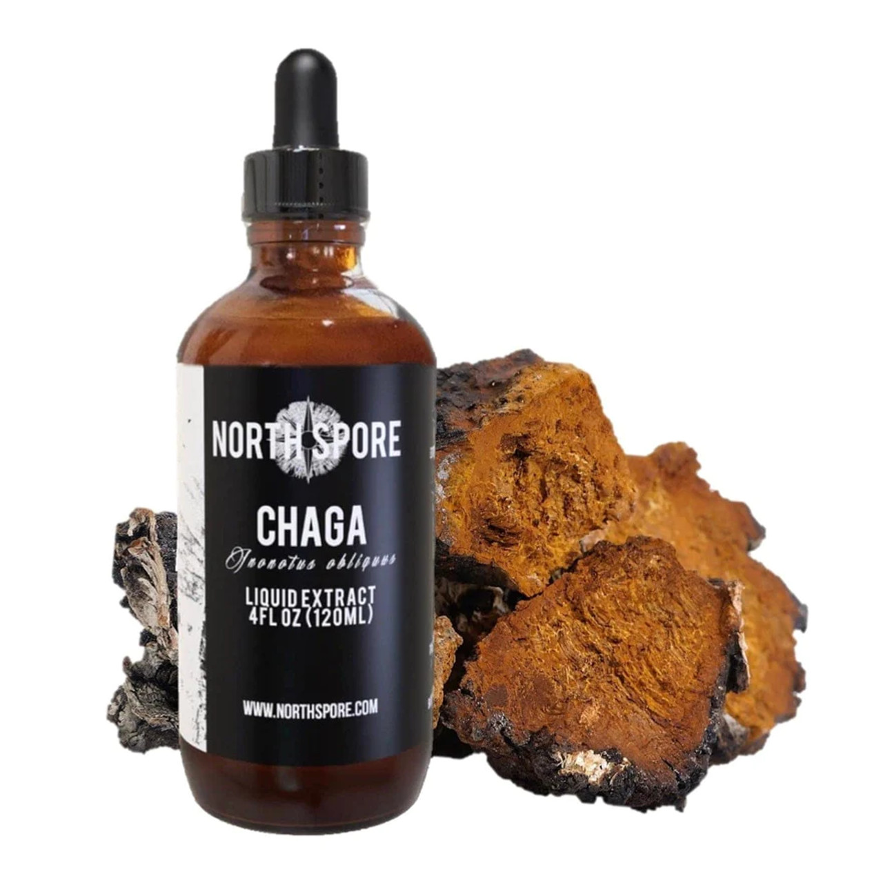 NORTH SPORE : Chaga Mushroom Tincture