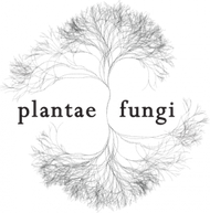 Plantae + Fungi