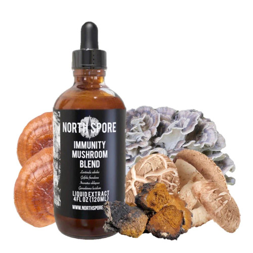 NORTH SPORE : Immunity Mushroom Blend Tincture