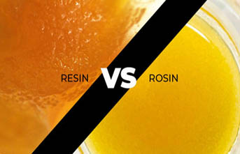 Live Resin vs. Live Rosin at Good Life