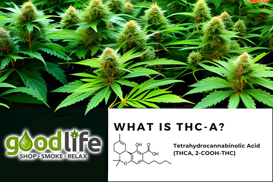 What is THCa and Why Does It Matter?