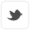 icon-twitter.png