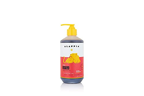 Alaffia Kids Shea Shampoo and Body Wash  Coconut Strawberry 16 Ounces