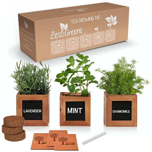 Indoor Herb Growing Kit - Herbal Tea Plants Included in Tea Growing Kits are Lavender, Chamomile & Mint Seeds. Medicinal Herb Plants Seed Kit