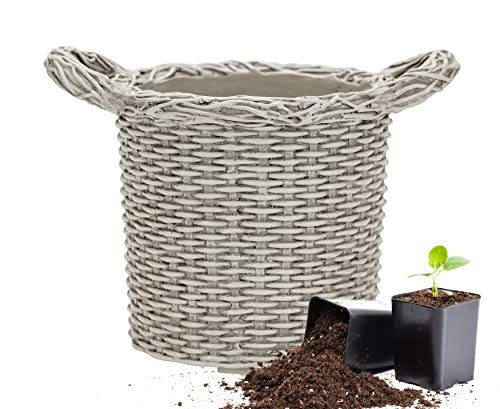 Martha Stewart Garden, Faux Wicker Planter, 10.5 Inch, Gray