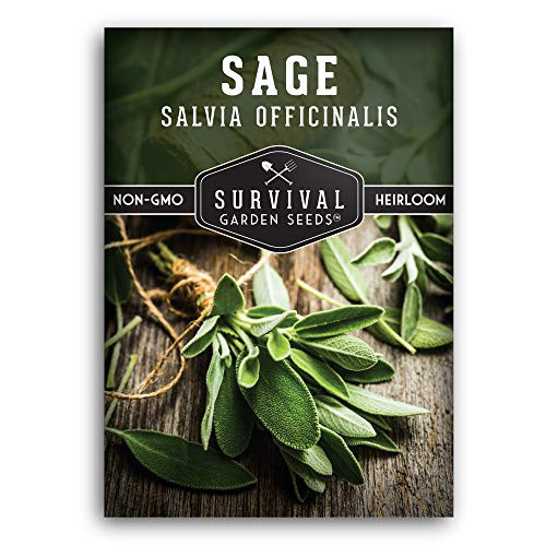 Survival Garden Seeds - Culinary Sage Seed for Planting - Packet with Instructions to Plant and Grow in Your Home Vegetable Garden - Non-GMO Heirloom Variety