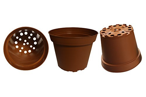 Plastic Pots for Plants  Cuttings & Seedlings  4-Inch  30-Pack (Terracotta)
