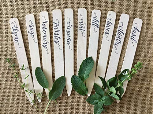 Plantid Assorted 10-Pack Kitchen Herbs! Farmhouse Decor Outdoor Indoor Herb Garden Stakes, Plant Labels, Plant Tags, Garden Markers, Garden Accessories, Garden Gifts, Holiday Stocking Stuffers