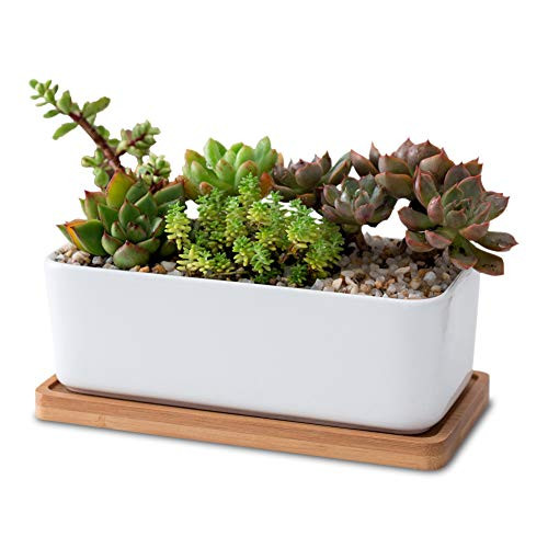 Lanker 6.5 Inch Rectangle White Ceramic Succulent Planter Pot Decorative Cactus Plant Pot Flower Container with Bamboo Tray (Rectangle 6.5 Inch)