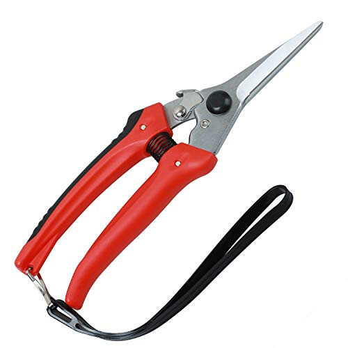 YAMATIC Pruning Snip Professional Micro-Tip Garden Hand Pruner & Shears With Steel Safety Lock and Comfort Grip for Arranging Flowers  Trimming Plants & Hydroponic Herbs  and Harvesting Fruits & Veget