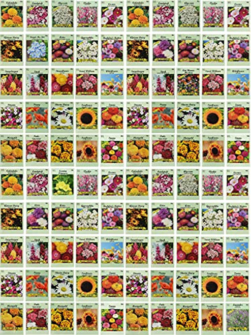 Set of 100 Assorted Valley Green Flower Seed Packets! Flower Seeds in Bulk - 20+ Varieties Included