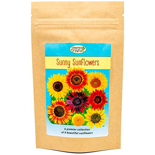 Sunflower Seed Mix to Plant - A Sunny Collection of 9 Beautiful Sunflowers - Easy to Grow Wildflowers