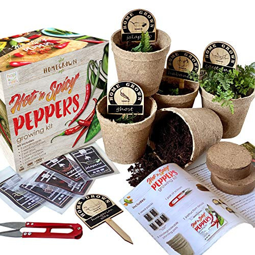 Indoor Hot and Spicy Pepper Garden Seed Starter Growing Kit Gardening Gifts for Men and Women - Jalapeno, Habanero, Hungarian Yellow Wax, Ghost, and Cayenne