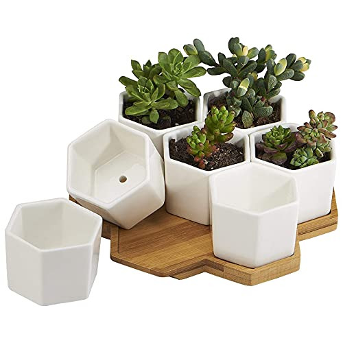 FLOWERPLUS Planter Pots Indoor, 7 Pack 2.75 Inch Modern White Ceramic Small Hex Succulent Cactus Flower Plant Pot with Bamboo Tray for Indoors Outdoor Office Home Garden Kitchen Decor (Hexagon)