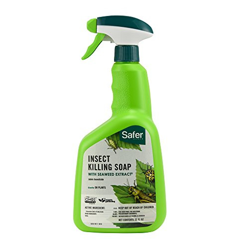 Safer Brand 5110-6 Insect Killing Soap  32 Oz.