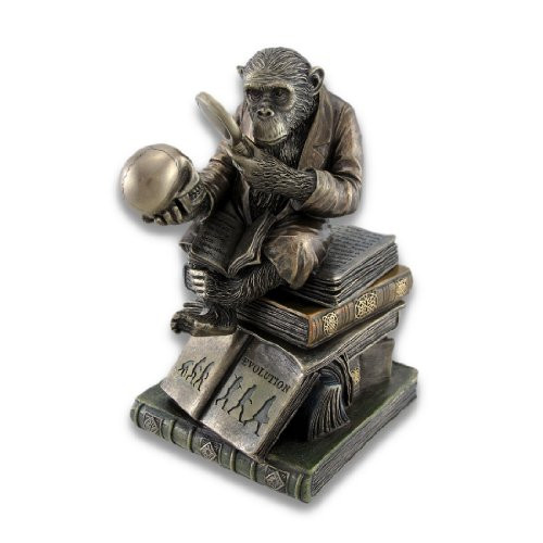 Veronese Design Smart Chimpanzee Scholar Trinket Box Stash Box