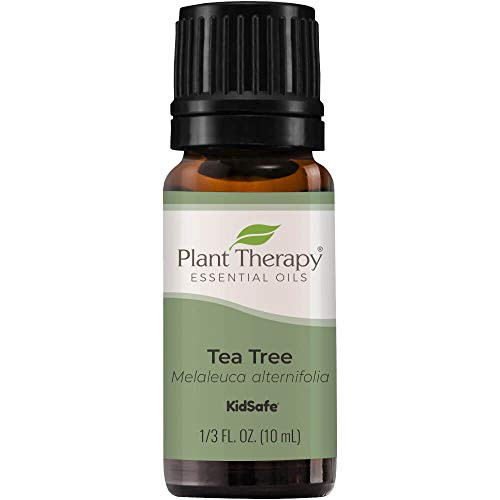 Plant Therapy Tea Tree Essential Oil 100% Pure  Undiluted  Natural Aromatherapy  Therapeutic Grade 10 mL (1/3 oz)