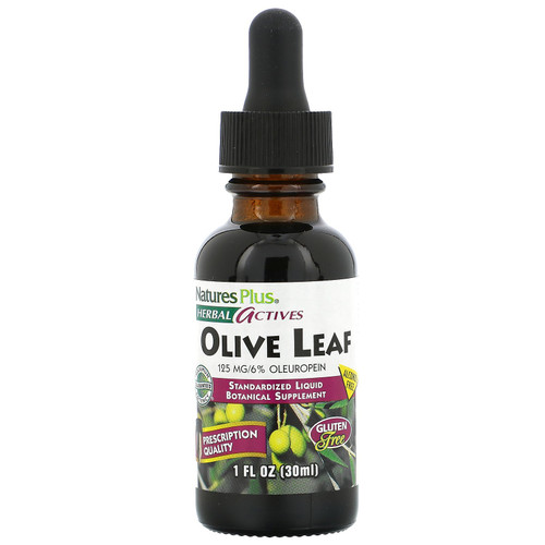 Nature's Plus  Herbal Actives  Olive Leaf  Alcohol Free  1 fl oz (30 ml)