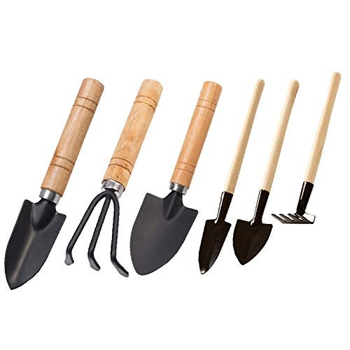 Garden Tools Set of 6 Pcs Hand Suit Mini Transplant Trowel Hand Rake Spade Shovel Cultivator Plant Potted Flower Gadget Wood Handle Carbon Steel for Cultivating Weeding Transplanting Seedlings