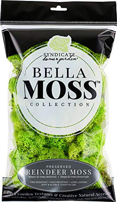 BELLA MOSS 1406121080 Reindeer Bag Moss  Chartreuse