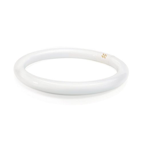 Philips 391177 lampadina fluorescente Circle da 32 Watt 12 pollici T9 bianco freddo