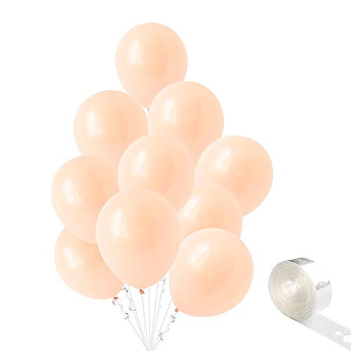 10-Inch Pastel Orange Balloons  100 Pcs Macaron Candy Colored Latex Balloons  Peach Birthday Balloons Arch Kit  Blush Balloons for Baby Shower  Wedding  Proposal  Bachelorette Shower Party Decorations