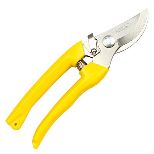 NUZAMAS Bypass Pruning Shears 8 inch Stainless Steel Gardening Hand Pruners Cutter Bush, Shrub & Hedge Clippers Garden Scissors Yellow