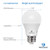 Great Eagle 100W Equivalent LED Light Bulb 1550 Lumens A19 2700K Warm White Non-Dimmable 15-Watt UL Listed (6-Pack)