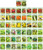 Black Duck Brand 50 Packs Assorted Heirloom Vegetable Seeds 20+ Varieties All Seeds are Heirloom  100% Non-GMO