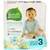 Seventh Generation  Free & Clear Diapers  Size 3  16-24 lbs  31 Diapers