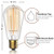 Edison Bulbs 60 Watts - 2100K Vintage Incandescent Bulb (4 Pack) - E26/E27 Base Clear Glass 60W - Dimmable Squirrel Filament Bulbs 230 Lumens - ST58 Tear Drop Antique Decorative Edison Light Bulbs