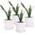 Plant Pots - 5.5 Inch Cylinder Ceramic Planters with Connected Saucer, Pots for Succuelnt and Little Snake Plants, Set of 4, White