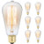 Basics Hardware 6-Pack Edison Light Bulb  Antique Vintage Style Light  Amber Warm  Dimmable (60w/110v)