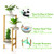 Bamboo Plant Stands Indoor  3 Tier Tall Corner Plant Stand Holder & Plant Display Rack for Outdoor Garden Indoor Home (3 Tier -1)