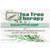 Tea Tree Therapy  Eucalyptus Soap  3.5 oz (99.2 g)