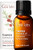 Gya Labs Cypress Essential Oil for Pain Relief (10ml) - Pure  Therapeutic Grade Cypress Oil - Perfect for Aromatherapy  Pain Relief  Dry Skin & Smoother Breathing - Use in Diffuser or on Skin