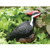 Chirper Pileated Woodpecker Statue by Michael Carr Designs - Outdoor Bird Figurine for gardens  patios and lawns (80019)