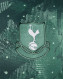 Tottenham 24/25 Kid's Third Shirt and Shorts