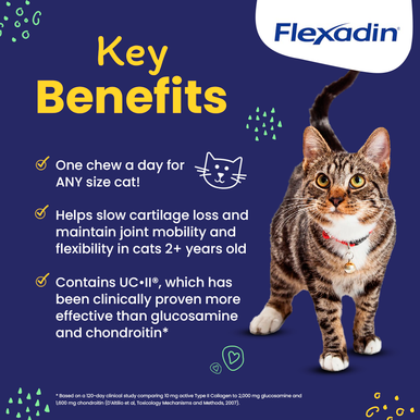 Vetoquinol Flexadin Cat Joint Supplement Chews with UCII, 30count bag