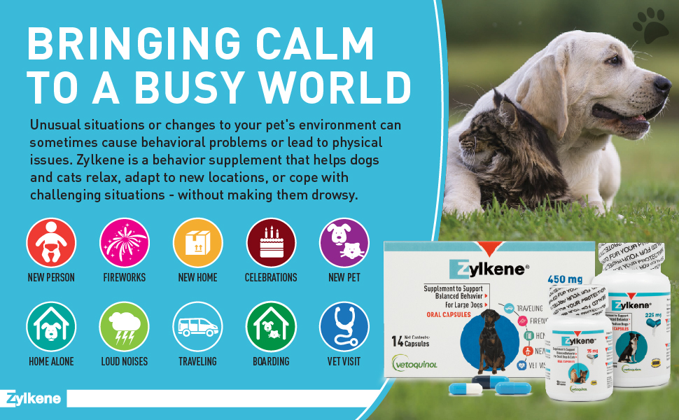 Vetoquinol Zylkene Calming Supplement, 75 mg for Dogs and Cats 10-22 lbs.