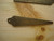 Colt Bore Gauge