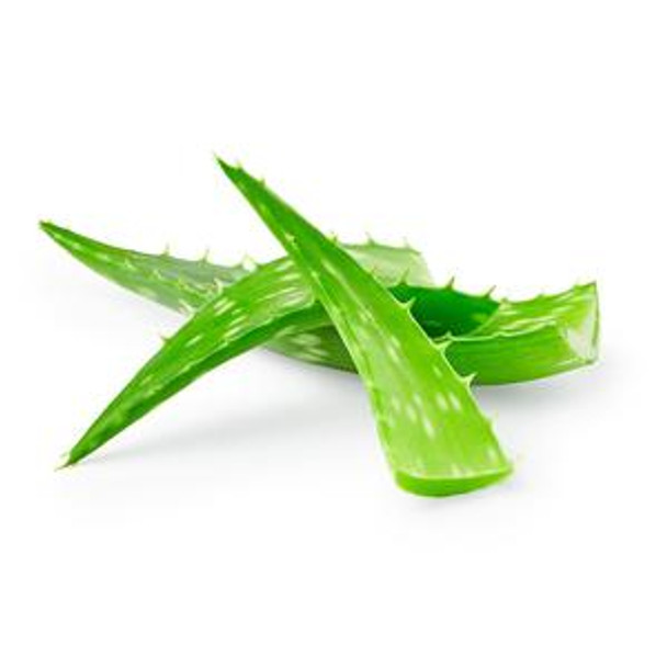 Aloe Each
