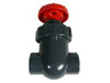PVC Gate Valve 32mm PVC Gate Valve 32mm