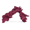 Real Reef Arches - Extra Large 2pcs