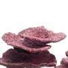 Real Reef Mini Plate Corals - 10pcs