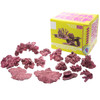 Real Reef Mix - 10-15pcs
