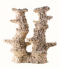 Arka reef column Wide 2 branches 40 cm