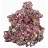 Real Reef Rock  XLarge/Show box 25kg