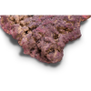 CaribSea Life Rock Shelf Rock 18,14 kg